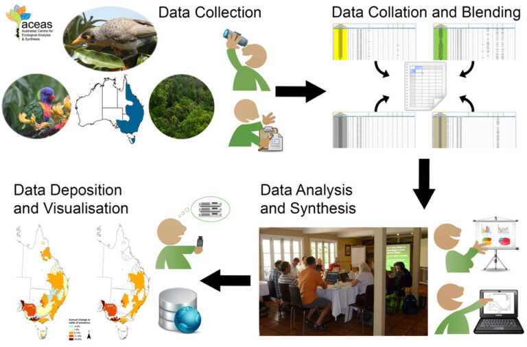 Data management workflow